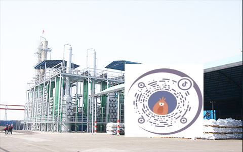 UG环球·(中国集团)官方网站